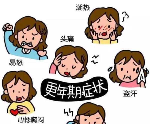 那一抹更年期的温柔—那英花少之旅的细腻关怀