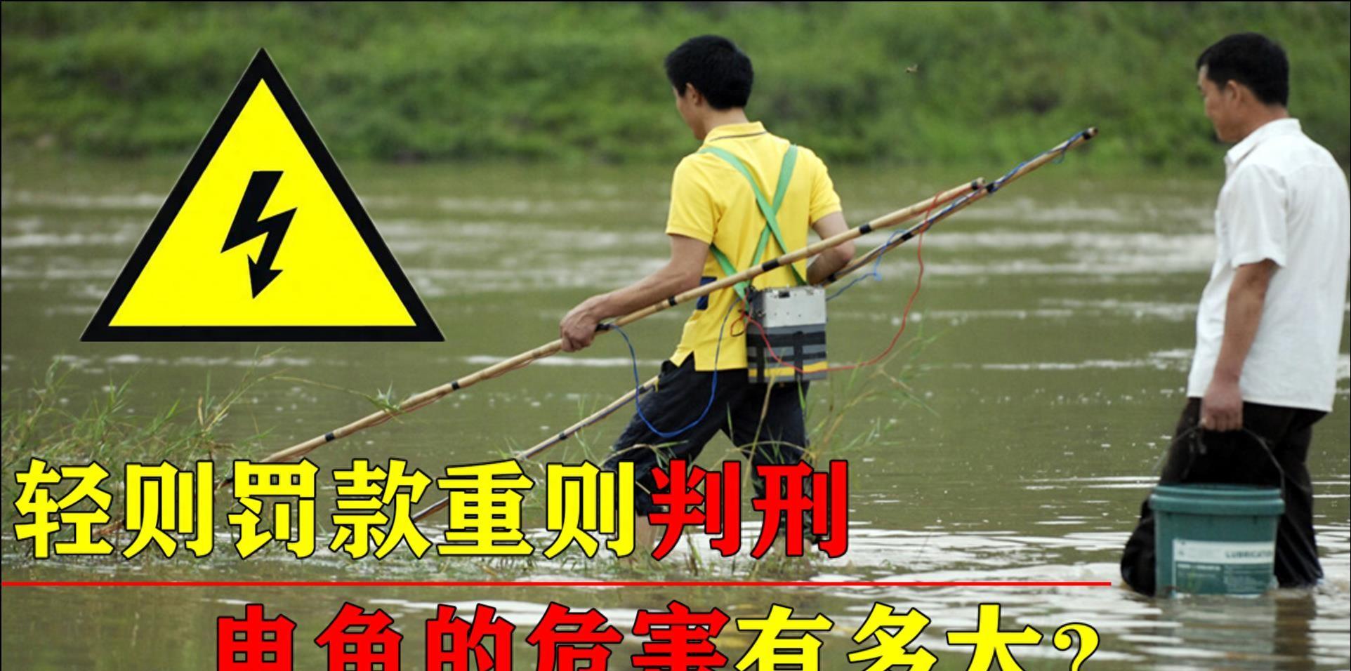 惊愕之举，入境旅客竟将200多枚鹦鹉蛋冲入下水道，生态保护警钟再响