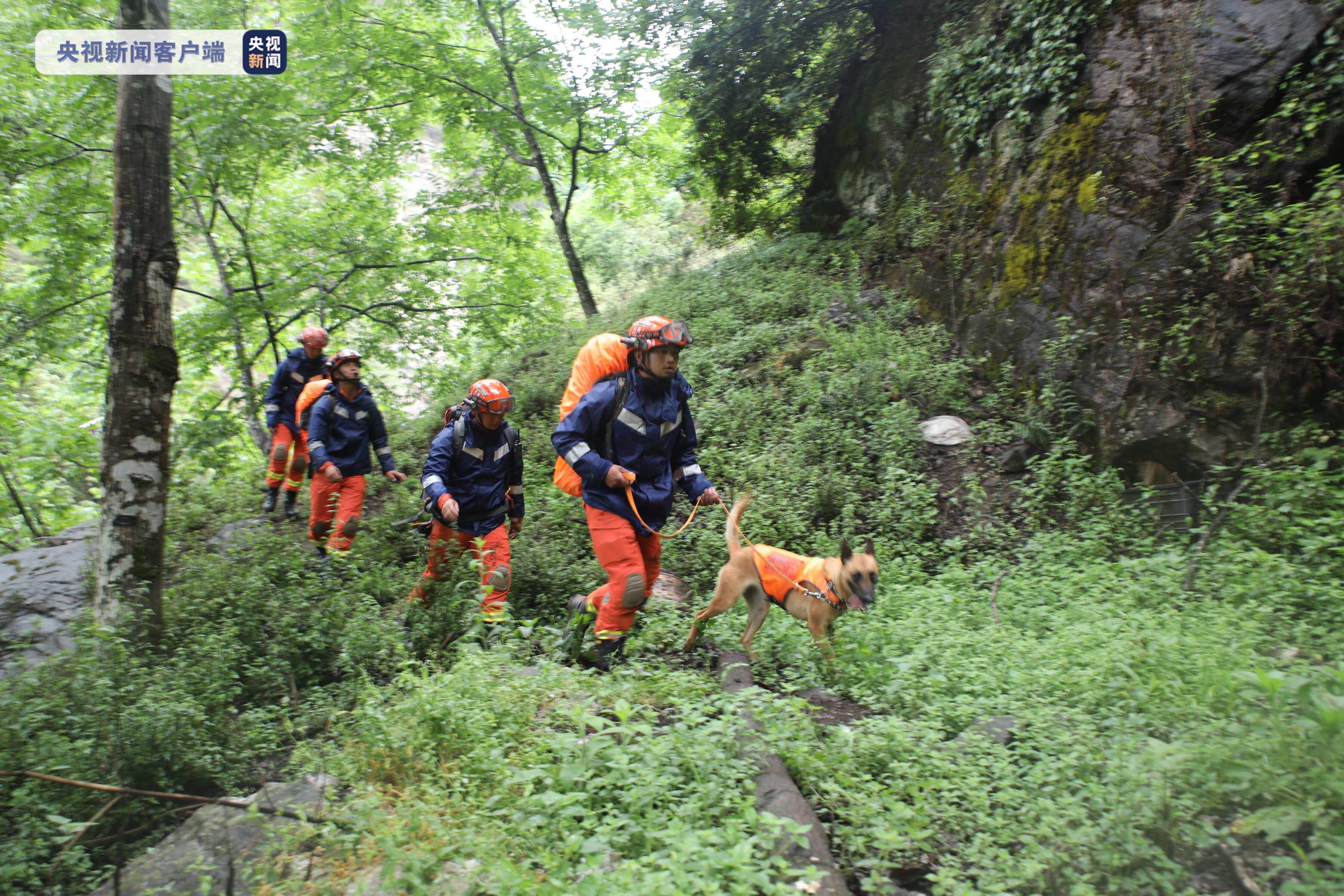悲痛通报，大理8岁男童苍山走失遇难，警民合力搜寻却未能挽回幼小生命