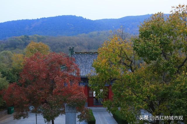 常州队0-5不敌盐城，苏超赛场遭遇最惨一败
