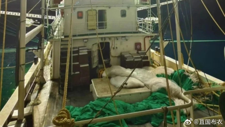 船长公海遇害案，嫌犯申请精神病鉴定背后的法律与伦理考量
