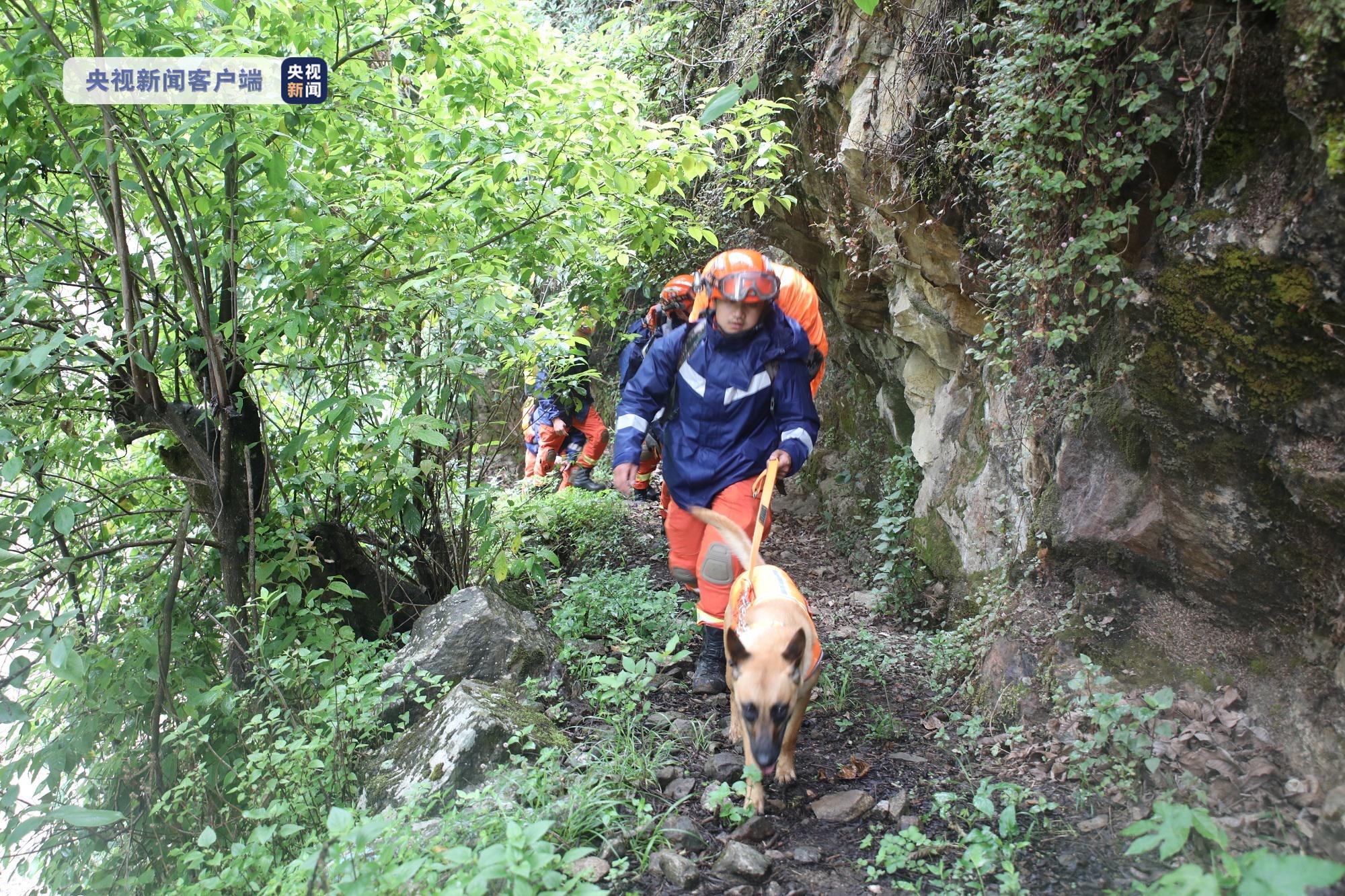 悲痛通报，大理8岁男童苍山走失遇难，警民合力搜寻却未能挽回幼小生命