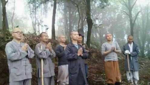 30名僧人集体辞职事件，少林寺的回应与思考