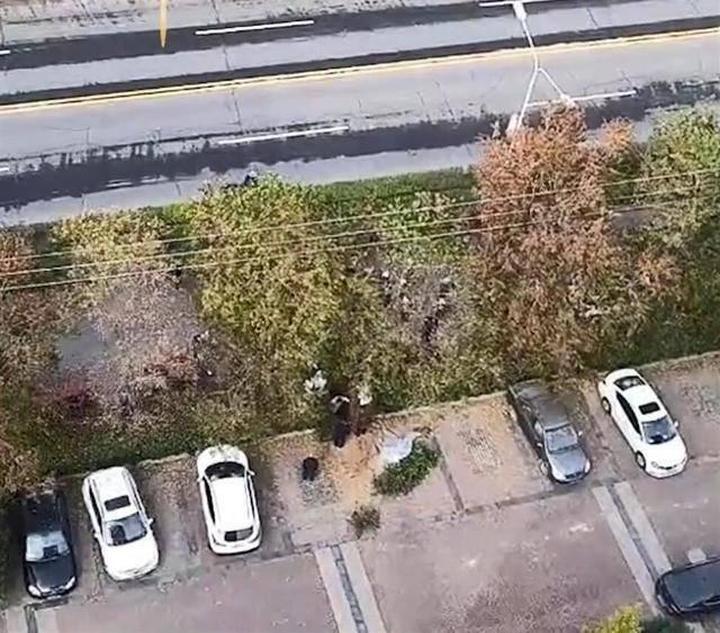 白鹿工作室紧急报警，应对蹲守偷拍事件，维护艺人隐私权