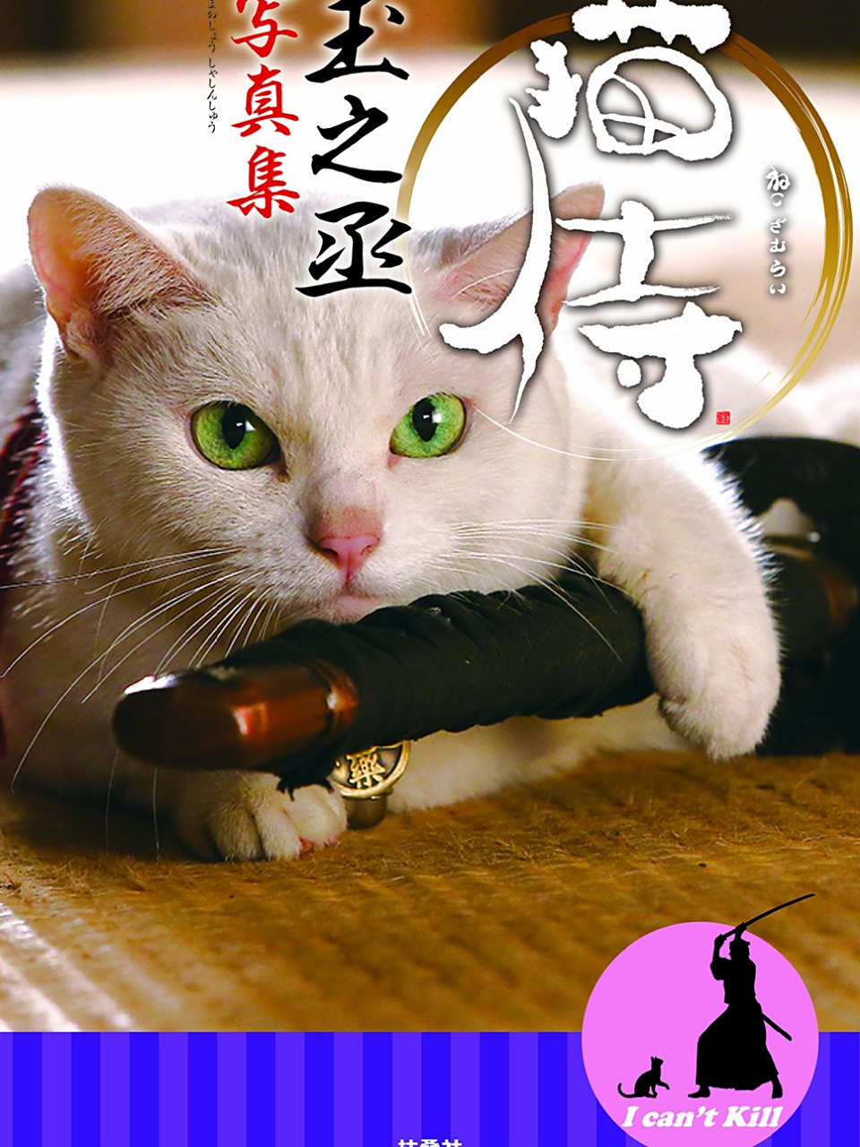 猫缘奇事，三万金镯子的垃圾桶奇遇