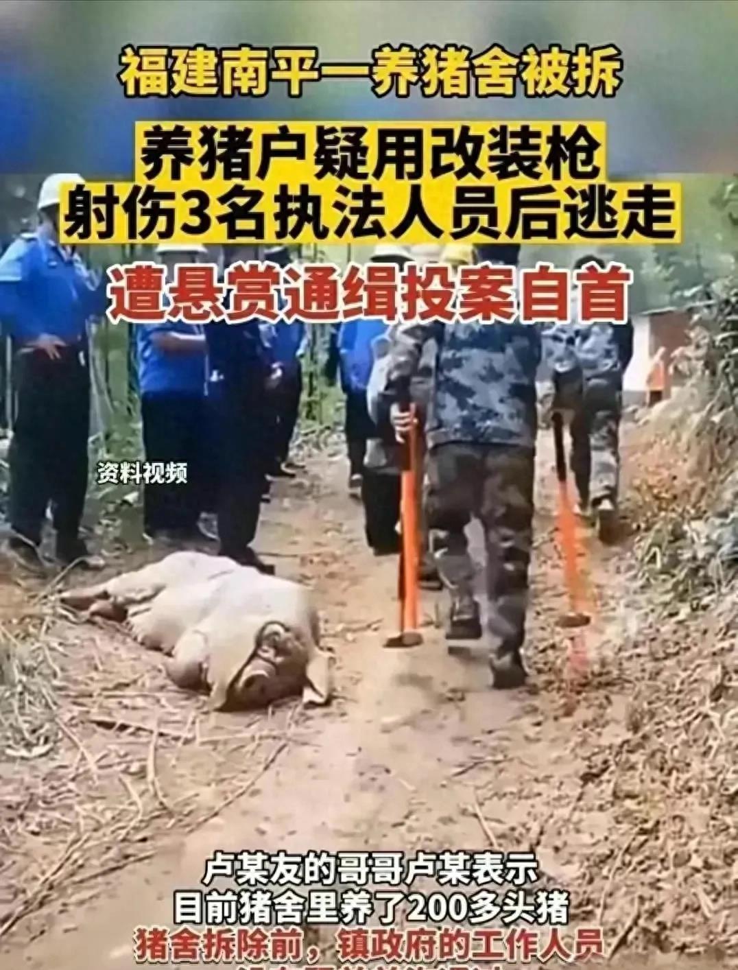 网红直播时坠机身亡，一场突如其来的悲剧