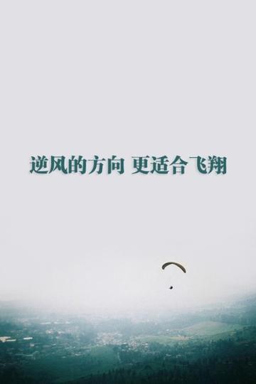 逆风飞翔，中国女排世锦赛之旅的遗憾与启示