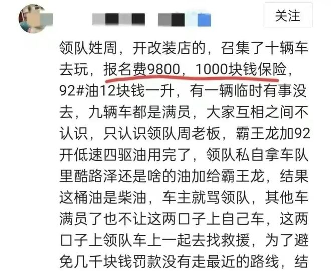 游客自驾撞到马群致6匹马死亡，一场悲剧的反思与警醒