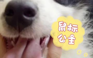 微信新功能，聊天也能发Live图，让沟通更生动有趣