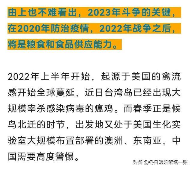 哥斯达黎加一沙滩上男子爬树坠亡，悲剧背后的警示与思考