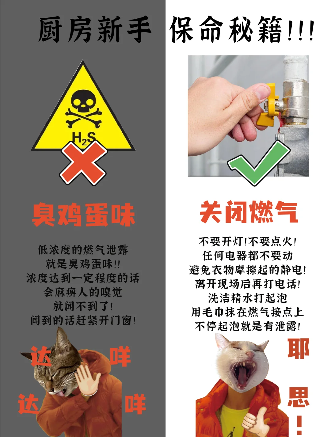 厨房新宠变毒源，女子误用厨房神器烤肉致全家中毒事件剖析
