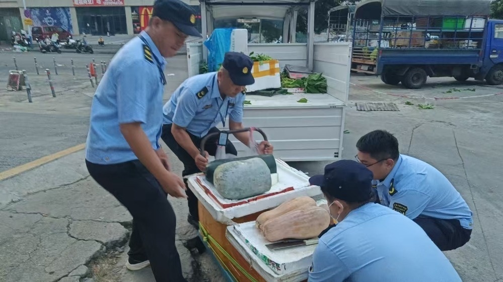 阅兵队列，整齐如一的背后—复制粘贴的秘诀