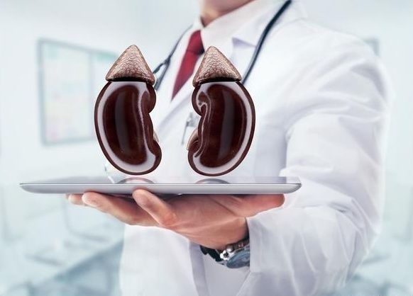 试管婴儿患肾病，父母要求医院担全责的伦理与法律探讨