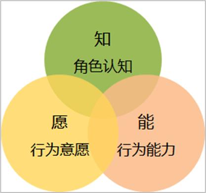 女生为何更容易出现身体淤青，生理与行为的双重考量