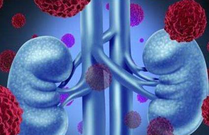 试管婴儿患肾病，父母要求医院担全责的伦理与法律探讨