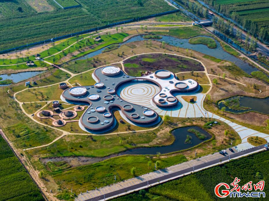 河南贾湖遗址，8000年前木棺的神秘发现