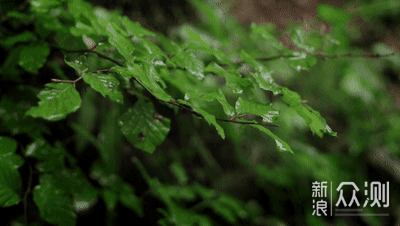 南方雨季，多雨与持续一周的湿润篇章