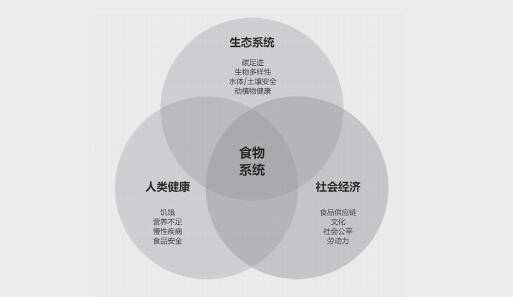 上海网红面包店浪费门事件，消费主义下的食物伦理与可持续发展反思