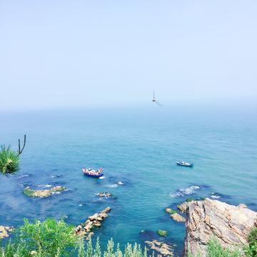 逆风飞翔，中国女排世锦赛之旅的遗憾与启示