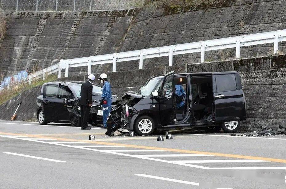 交警权威回应，游客自驾游意外撞死6匹马事件详解