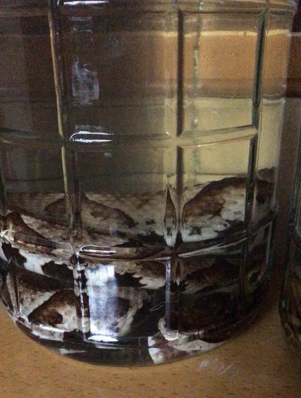 惊险一幕，男子被蛇咬伤，骑车紧急就医半路毒发摔倒