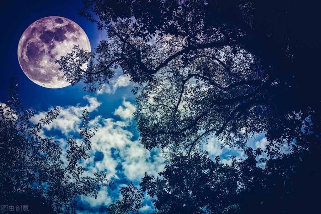 奇观之谜，海中旗浪的神秘面纱