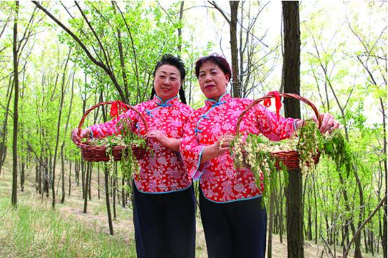 携手并进，中美关系中的相互成就与共同繁荣