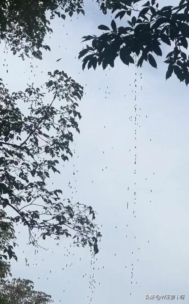 南方雨季，多雨与持续一周的湿润篇章
