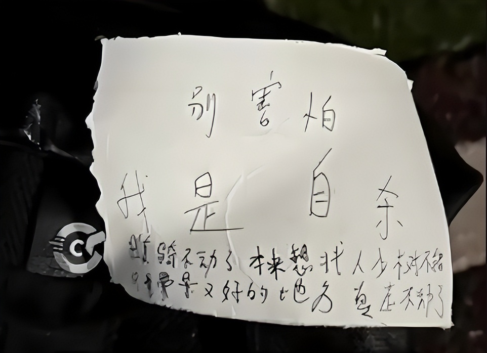 成都25岁女子公园自缢，遗书背后的社会反思