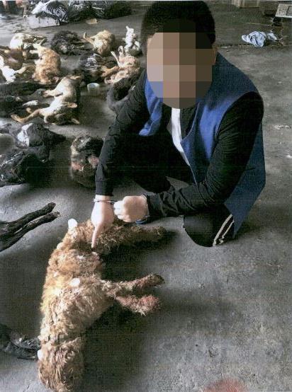 男子因不满13条狗半夜扰民，毒杀9只犬只终获刑