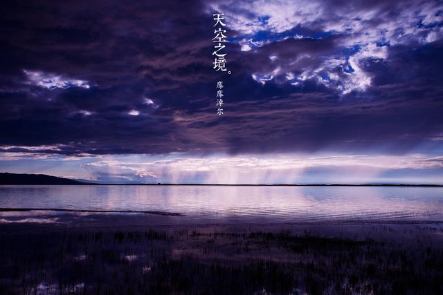 无人机与马蜂，一场意想不到的空中对决