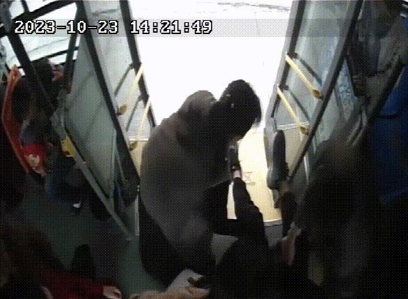 女子表演与蟒蛇亲嘴，惊险一幕的背后与安全警示