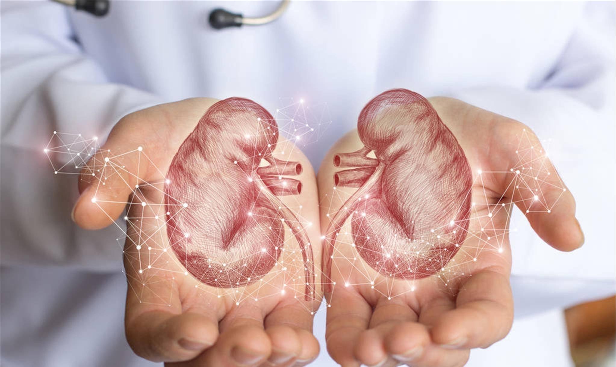 试管婴儿患肾病，父母要求医院担全责的伦理与法律探讨