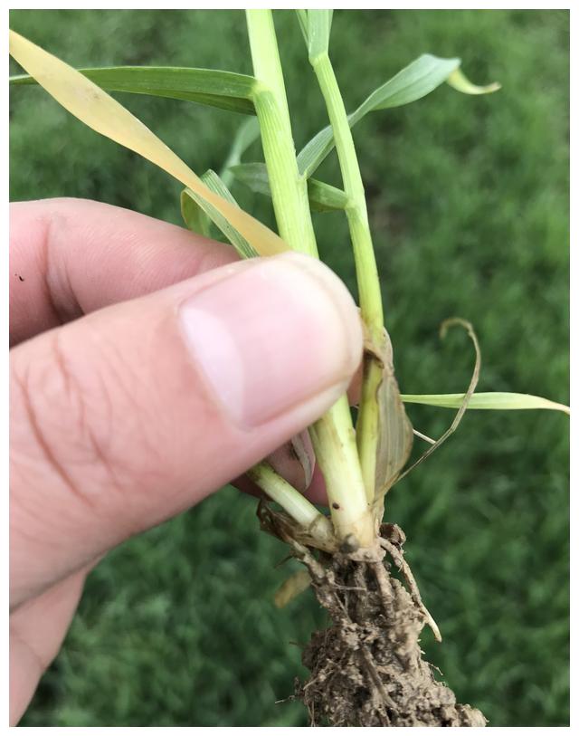 拔节生长，中国制造锻造更强筋骨