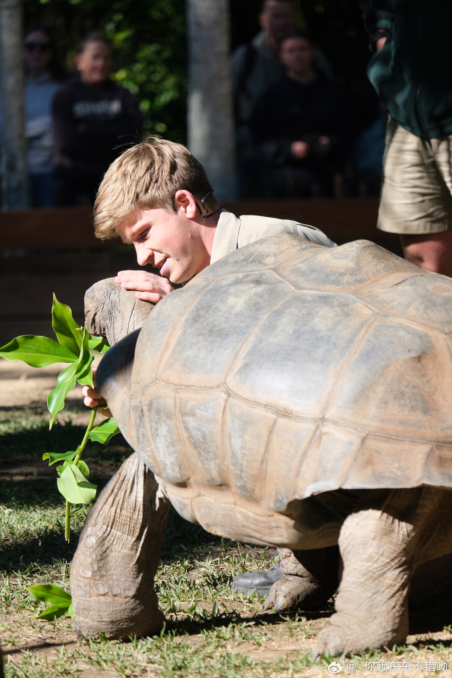 男子与他的幸运乌龟，九年的陪伴与成长