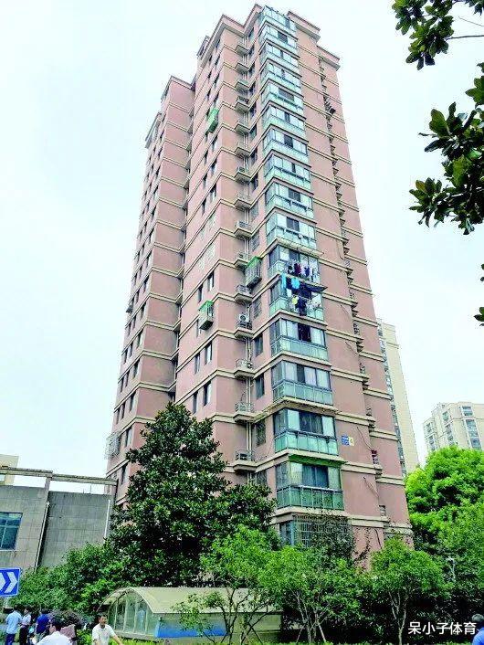 浙江一居民楼惊现绿色奇迹，空心菜瀑布奇观