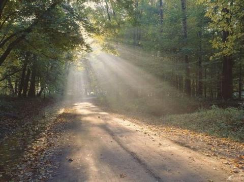 光明的缝隙,搜救人员讲述失联女童被发现的温暖细节 光明的缝隙,搜救人员讲述失联女童被发现的温暖细节