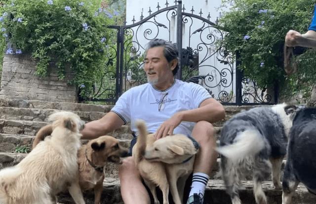 退休大爷的狗之屋，爱与奉献的温馨篇章