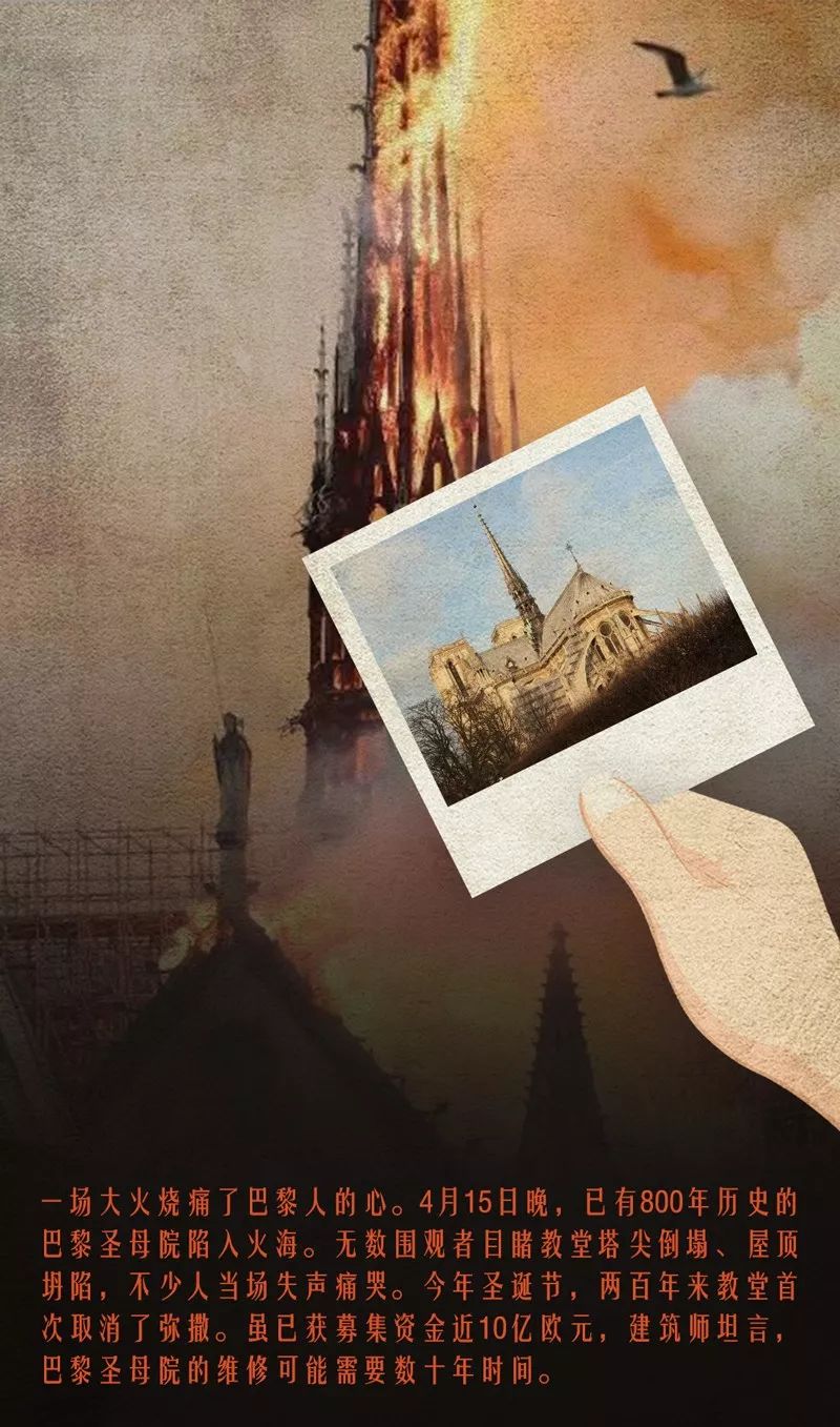 悲剧重现，一家三口被撞身亡案—家属首次透露案件新细节