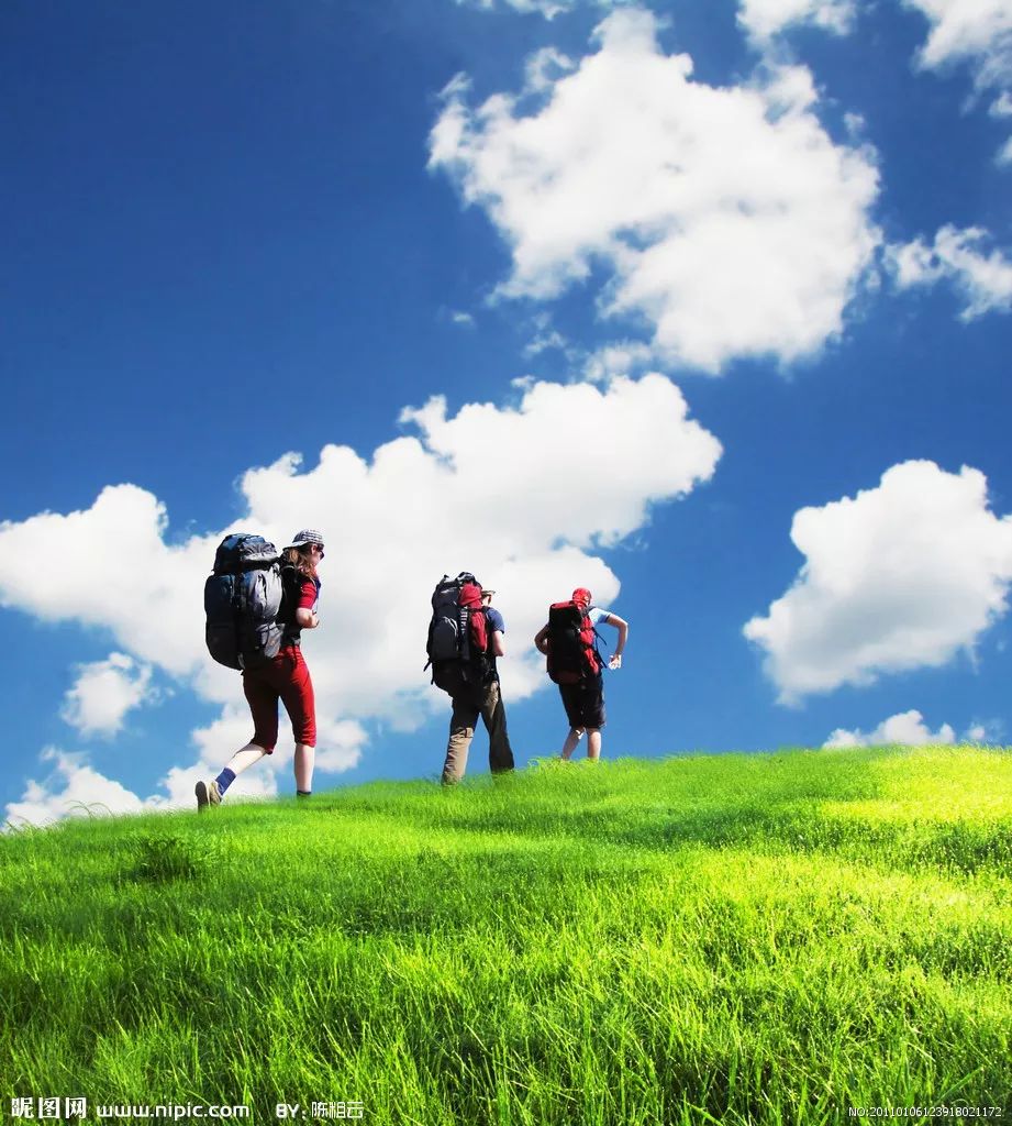 洱海畔的网红歪脖子树，一场意外的生态警钟