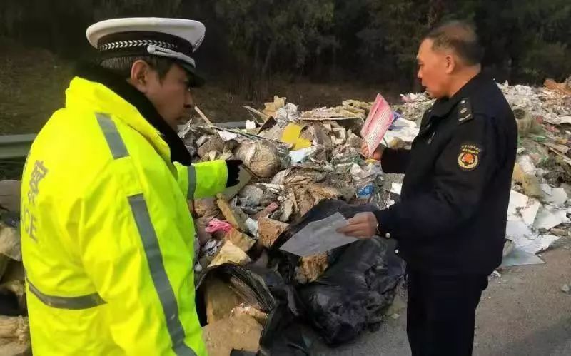 毕加索名画和平鸽送展途中失踪，警方全力追查