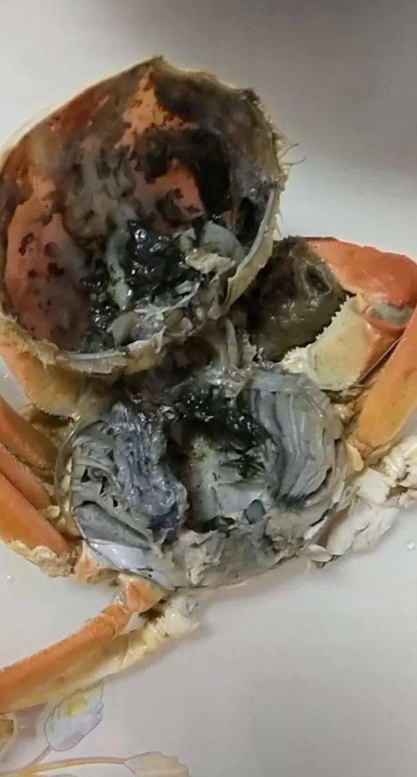 477元买16只螃蟹，却收到2死蟹14臭蟹，网购海鲜的鲜与险