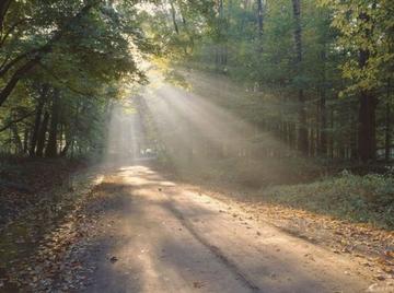 光明的缝隙,搜救人员讲述失联女童被发现的温暖细节 光明的缝隙,搜救人员讲述失联女童被发现的温暖细节