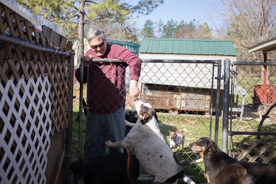 退休大爷的狗之屋，爱与奉献的温馨篇章