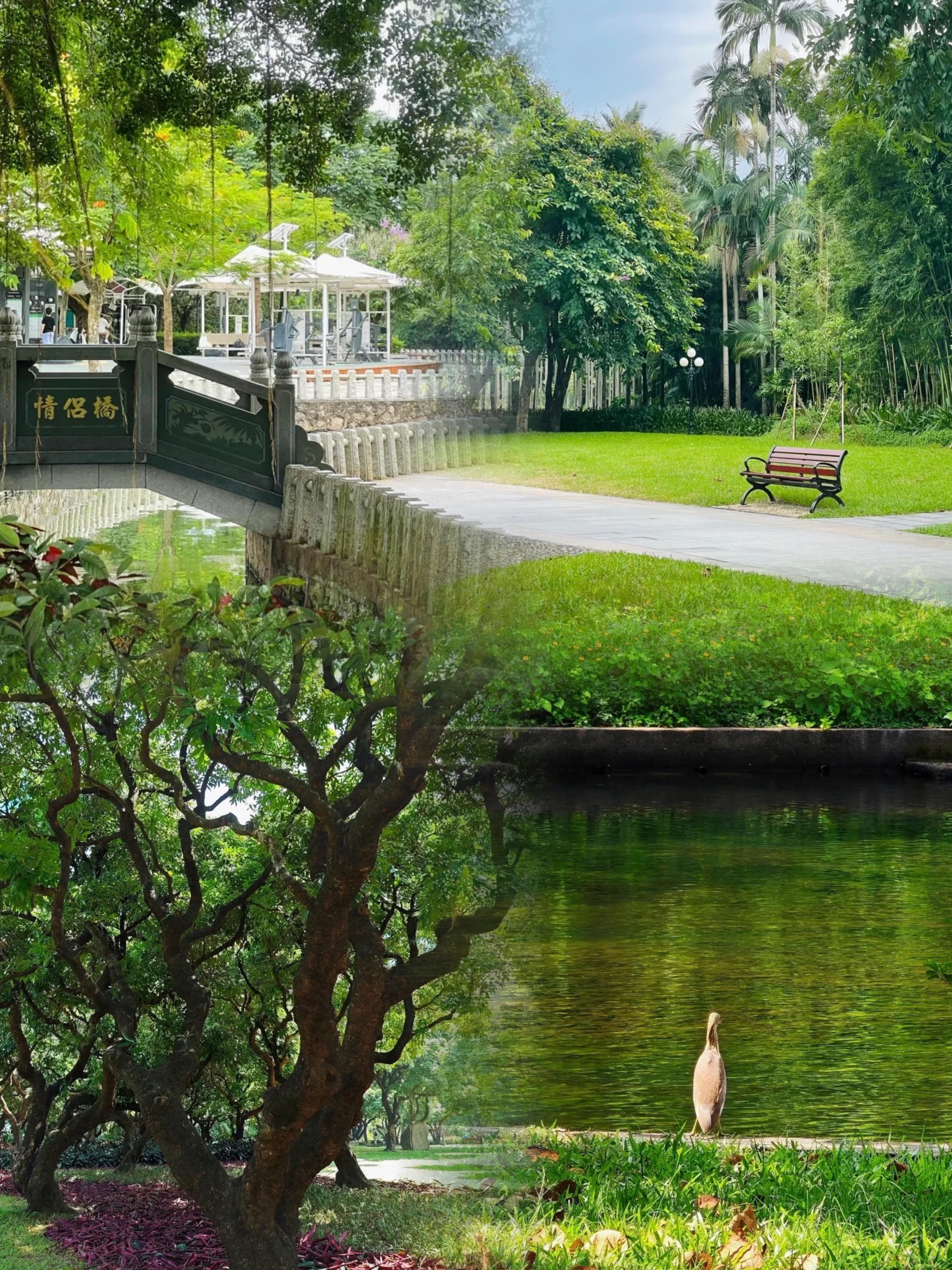 游客在朝阳公园大树上写诗，城市绿洲的诗意邂逅