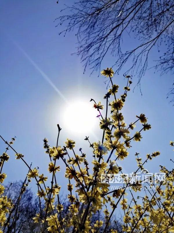 警报！明日台风麦德姆将至，阵风15至16级，沿海地区严阵以待