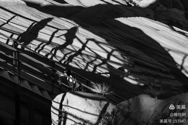 考古与盗墓，光与影的双重世界