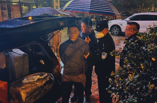 毕加索名画和平鸽送展途中失踪，警方全力追查