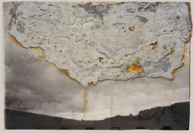 驴友登山意外发现大量蛇出没警示牌，自然与人类共存的微妙平衡