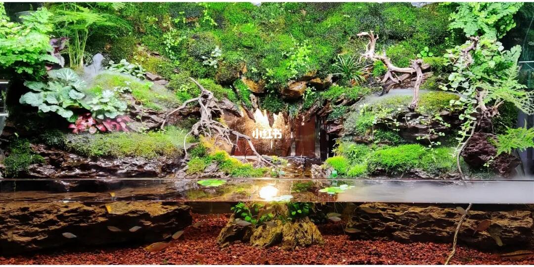 西安城墙，从历史古迹到巨型生态缸的绿色蜕变